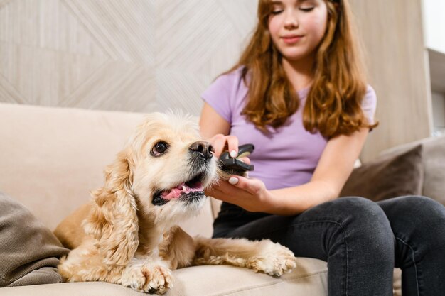 Come scegliere lo Shampoo per cani